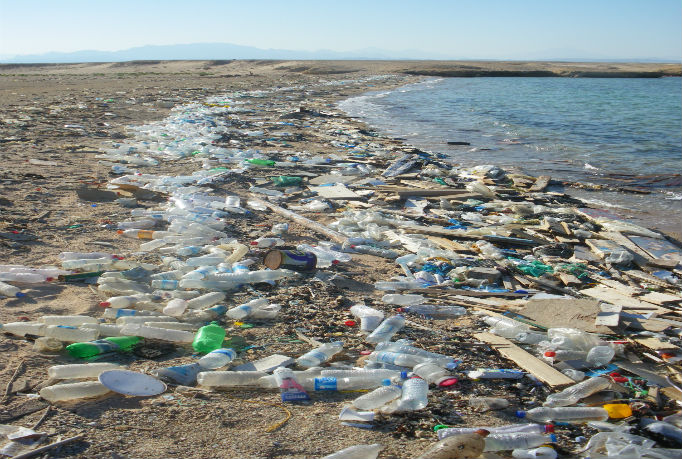 Thinking About Plastic In The Sea