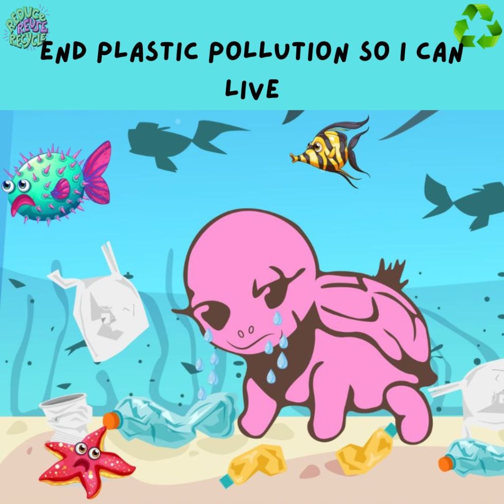 Plastic pollution and the effects of it